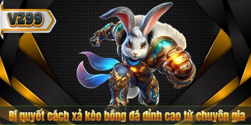 Bí quyết cách xả kèo bóng đá đỉnh cao từ chuyên gia