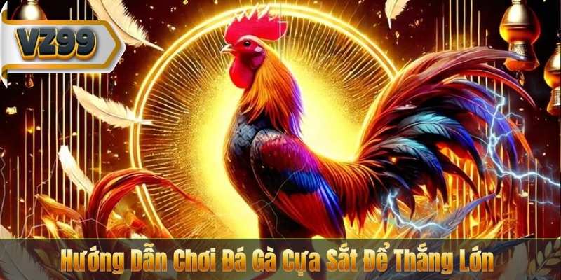 Hướng Dẫn Chơi Đá Gà Cựa Sắt Để Thắng Lớn